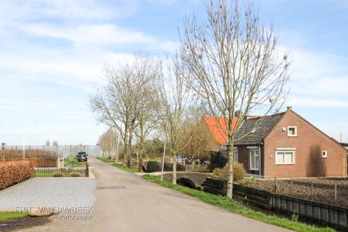 Zijderveld